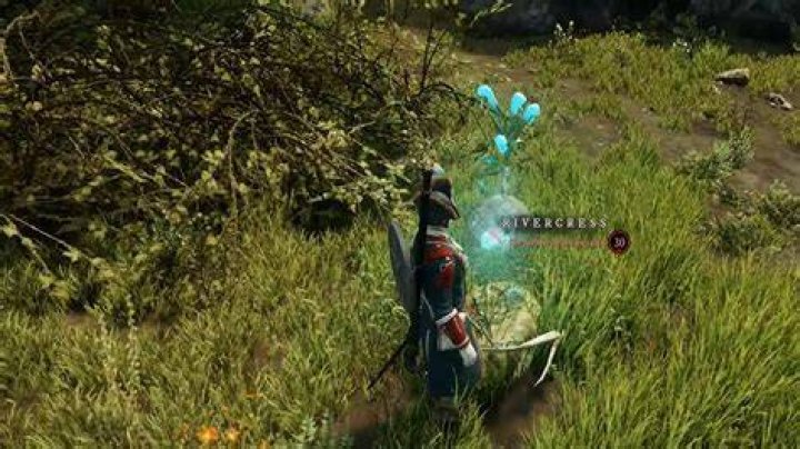 New World Weakness Ego Quest 