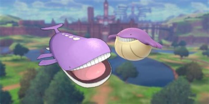 Shiny Wailord